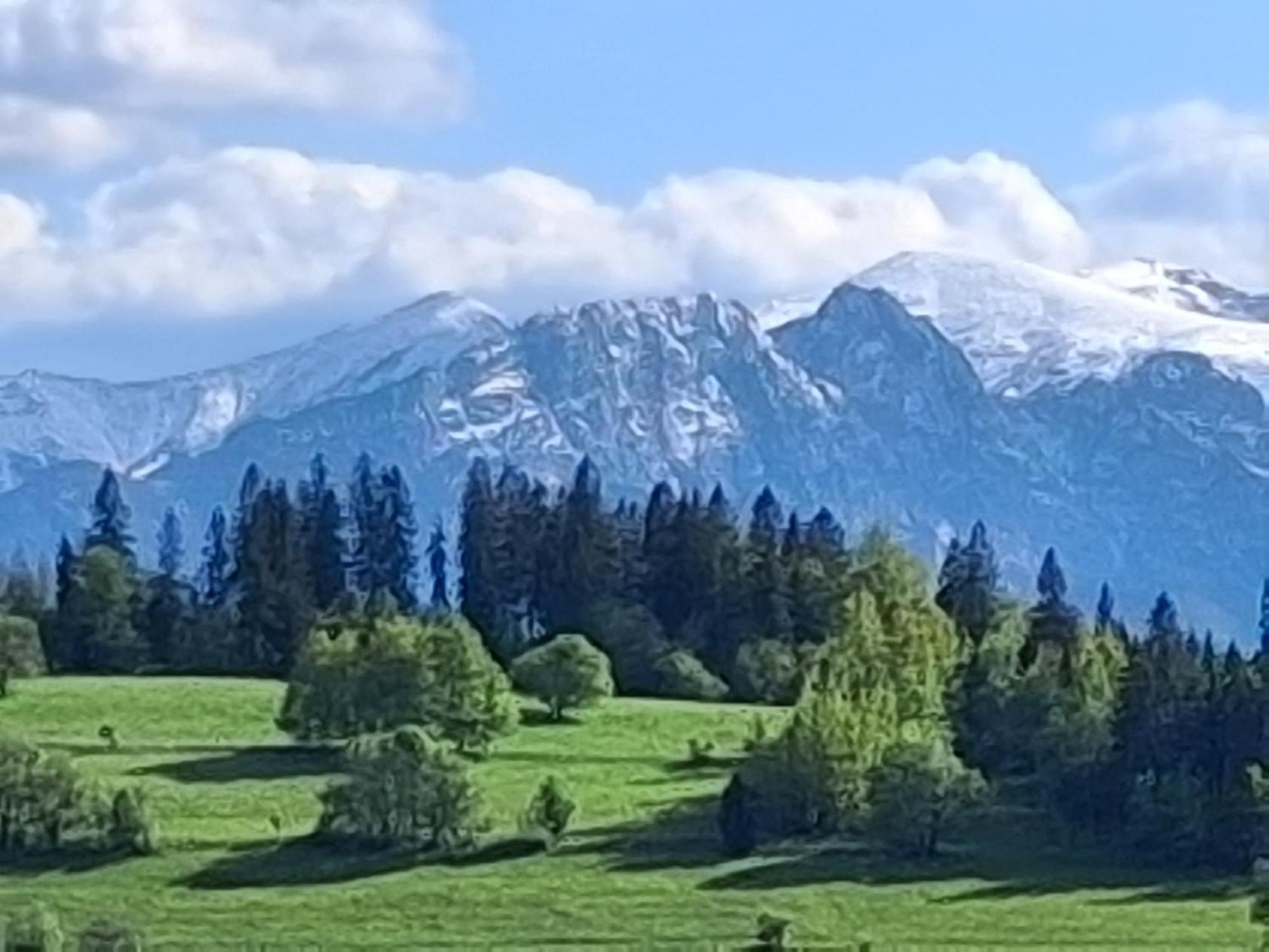 Dom Z Widokiem Na Wierchy - Panorama Na Tatry - Traditional Folk House Gliczarów Exteriér fotografie